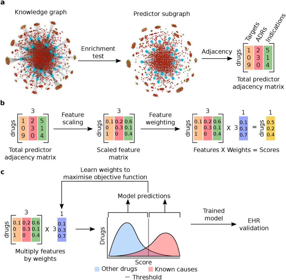 Urbanization Problems And Solutions Worksheet Answers
