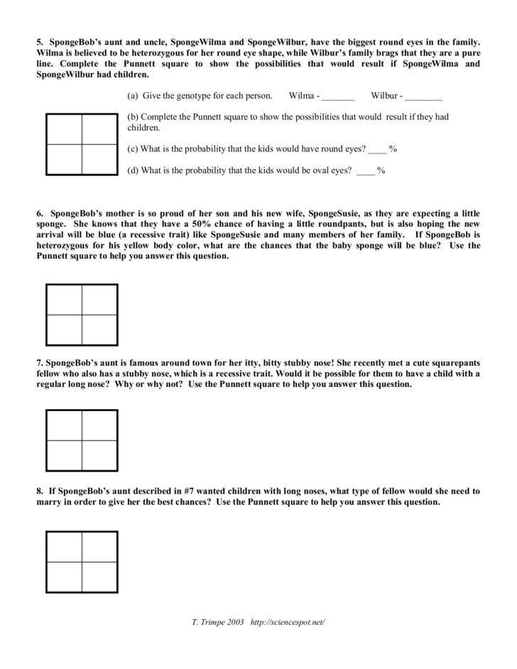 Spongebob Genotype Worksheet Answers