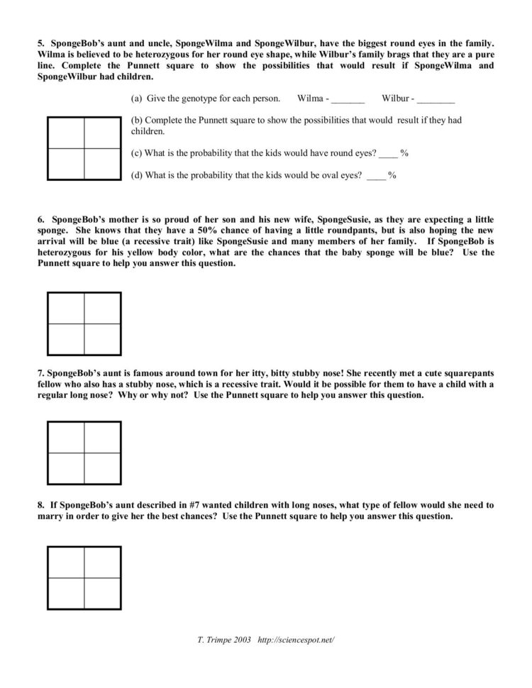 Use Your Knowledge Of Genetics To Complete This Worksheet
