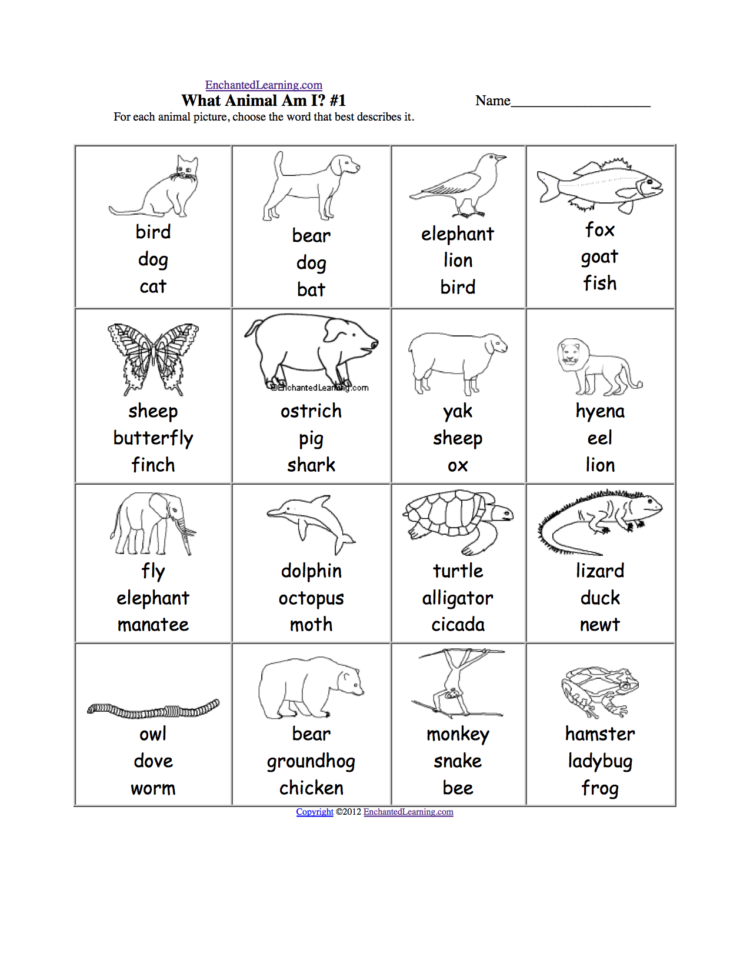 Useful Worksheets For Grade 1 On Animals In Animal Spelling