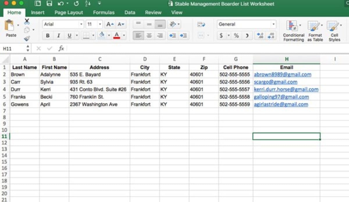 Using Excel For Equine Business List Management  The 1