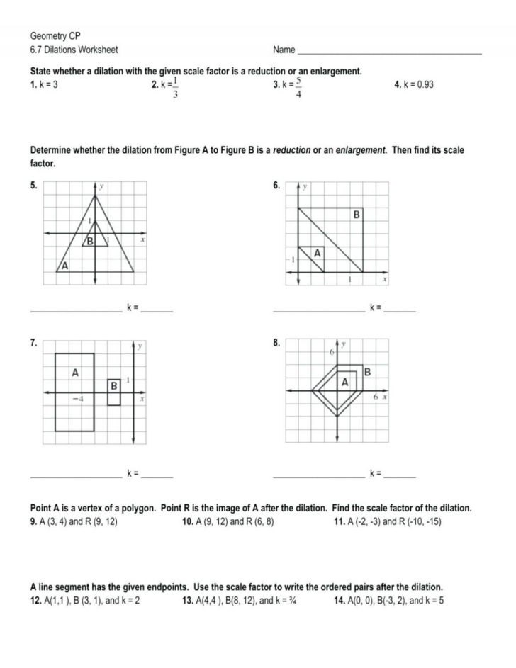 Va Dilations Worksheet Kuta Simple Monohybrid Cross —