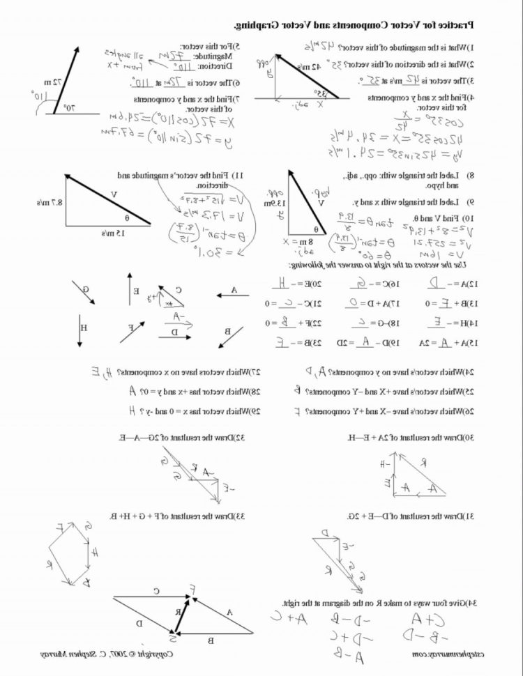 Vector Addition Worksheet Answers Elegant Worksheet Adding