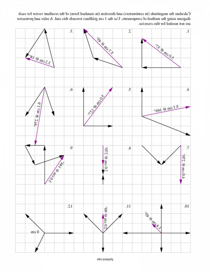 Vector Addition Worksheet Answers