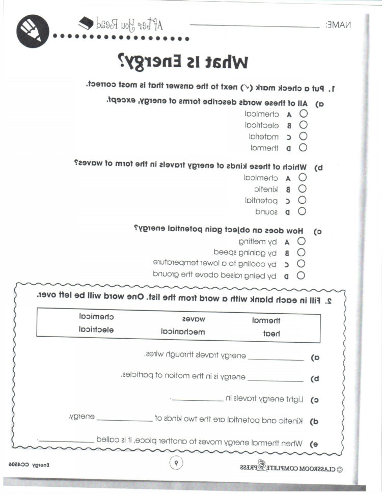 Vector And Scalar Quantities Worksheet  Lamaison