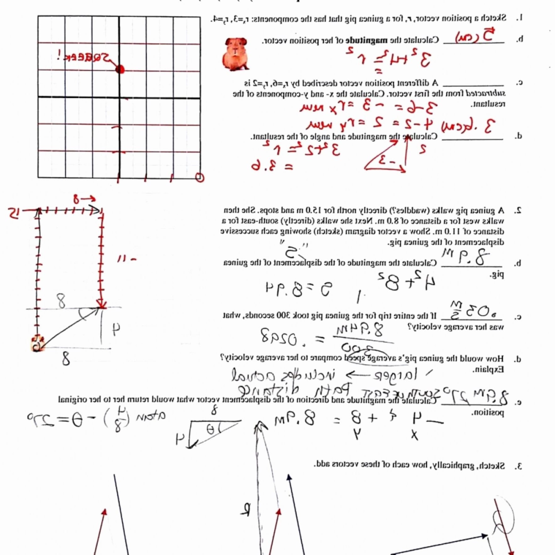 Vector Worksheet Physics Answers Luxury Resultant Vectors
