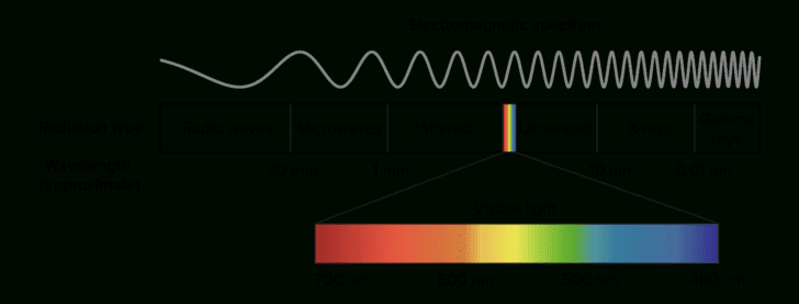 The Absorption Of Light By Photosynthetic Pigments Worksheet Answers