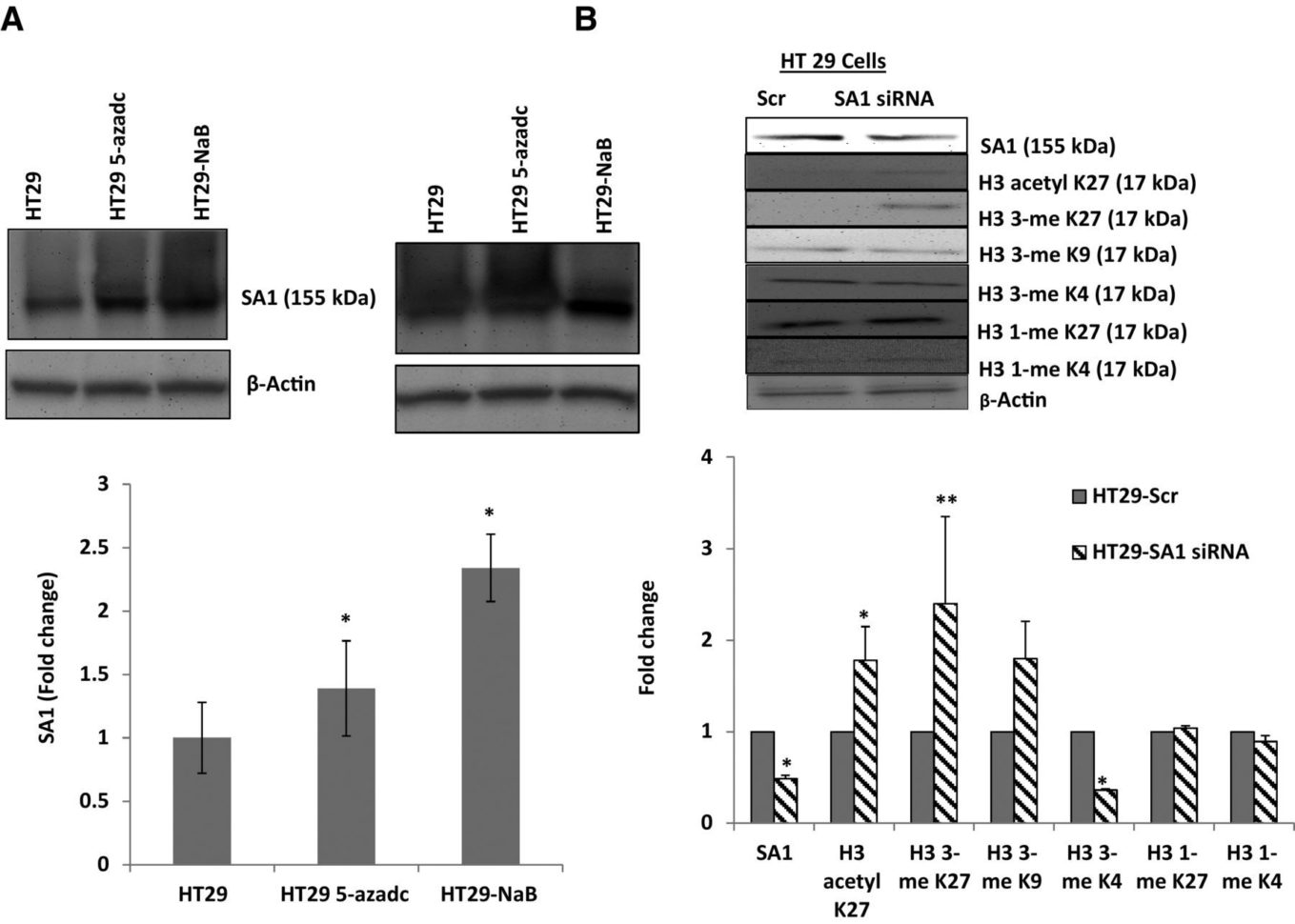 Verification Worksheet Independent University Of Phoenix