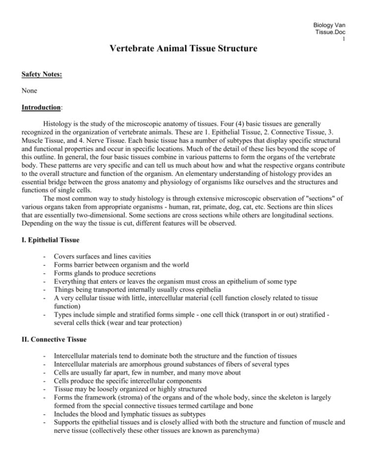 Vertebrate Animal Tissue Structure