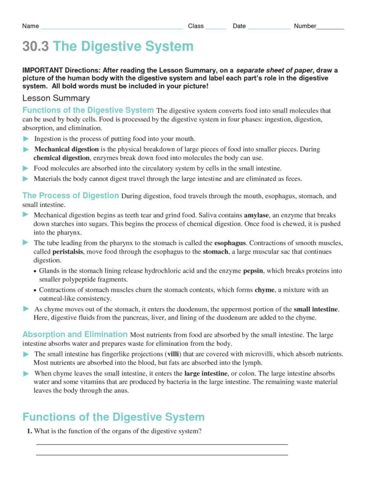 Ves Review Worksheet Answer Key