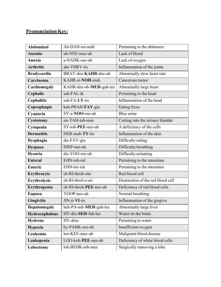 Vet Terminology Worksheets