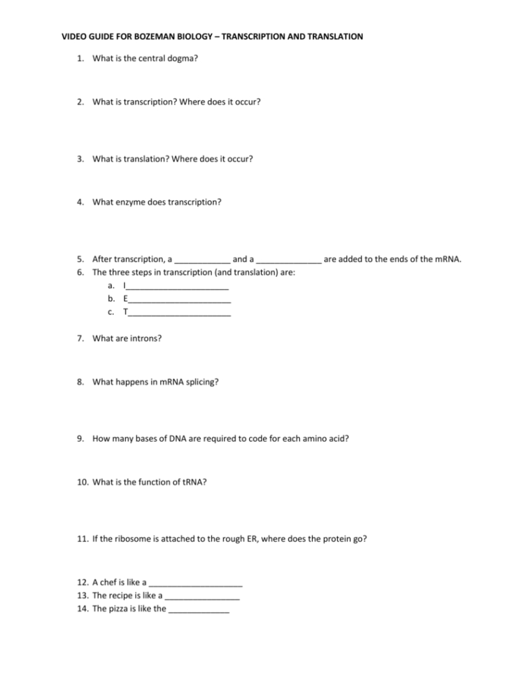 Video Guide For Bozeman Biology Transcription And Translation