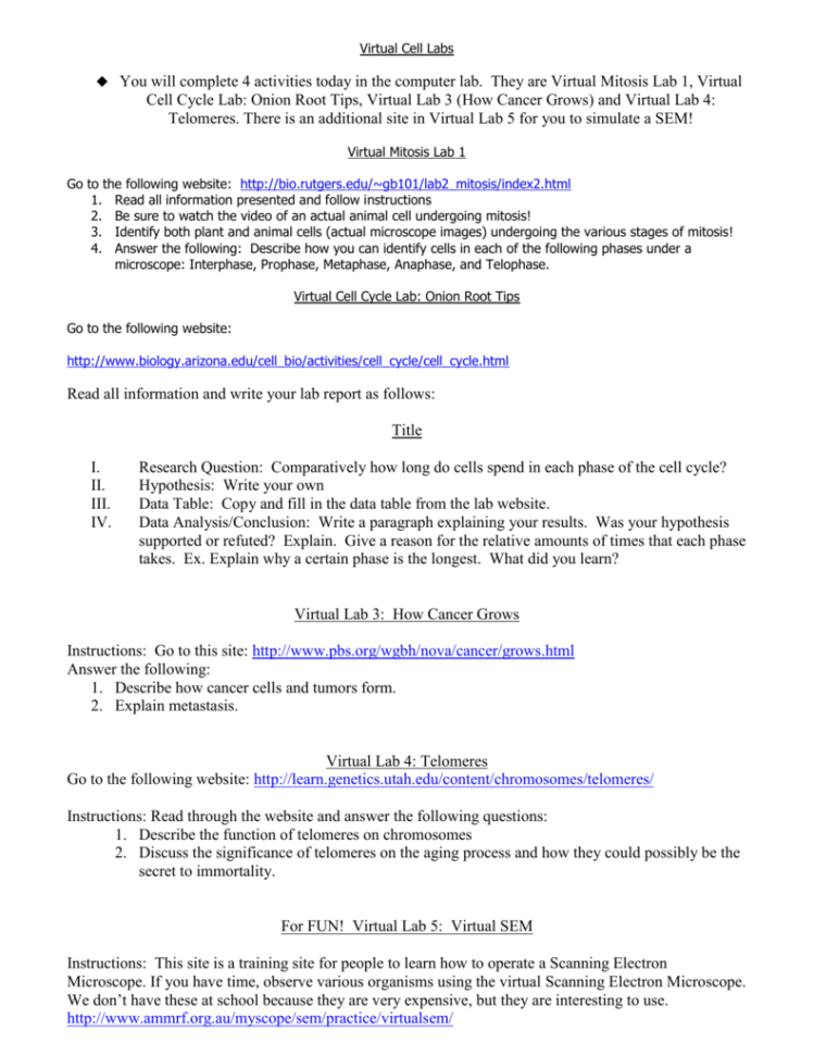 Virtual Cell Labs You Will Complete 4 Activities Today In