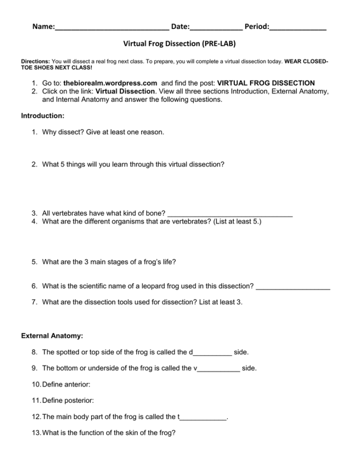 Frog Dissection Worksheet Answers