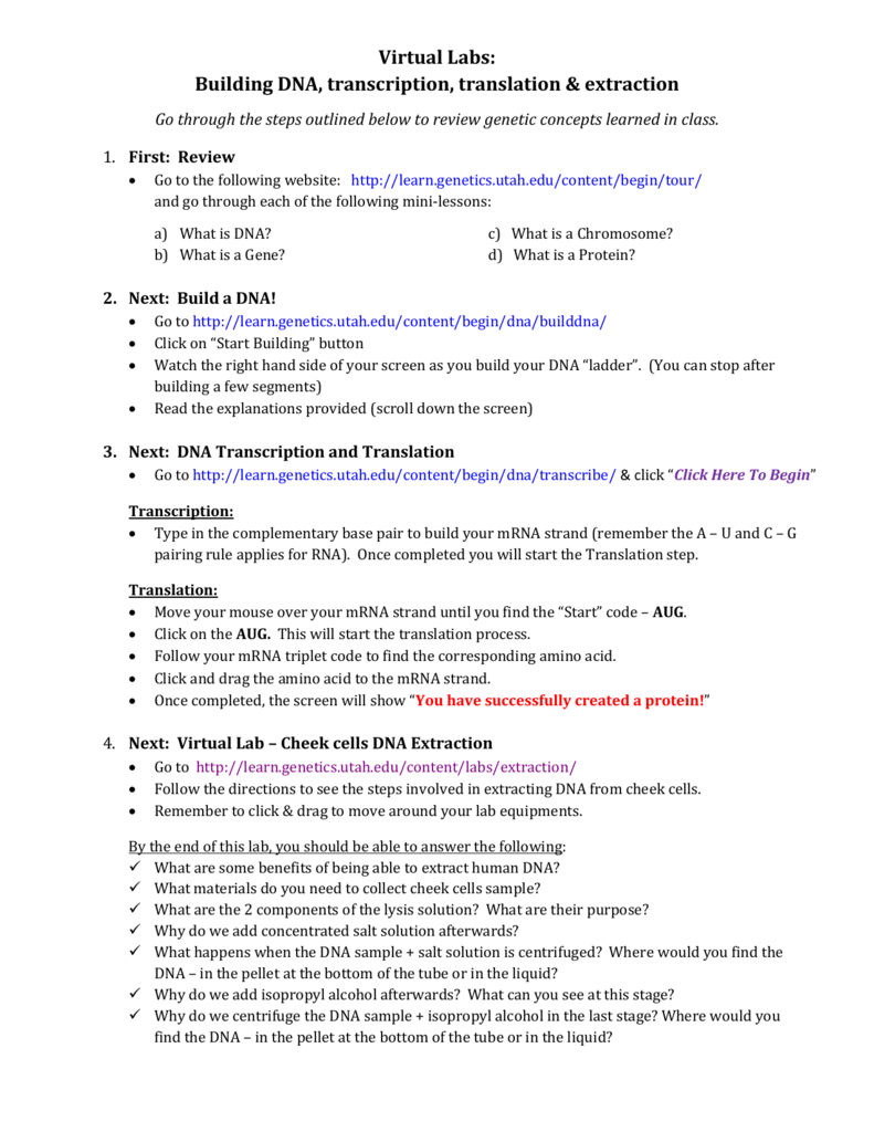 Virtual Lab  Dna Transcription  Translation