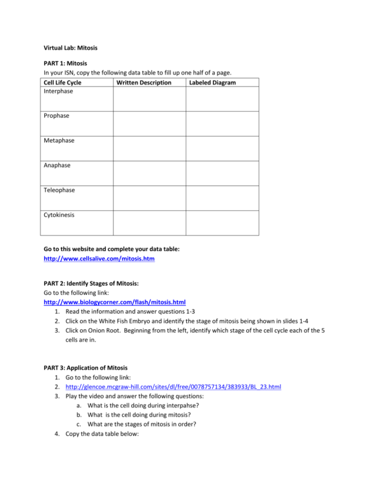 Virtual Lab Mitosis Part 1 Mitosis In Your Isn Copy The