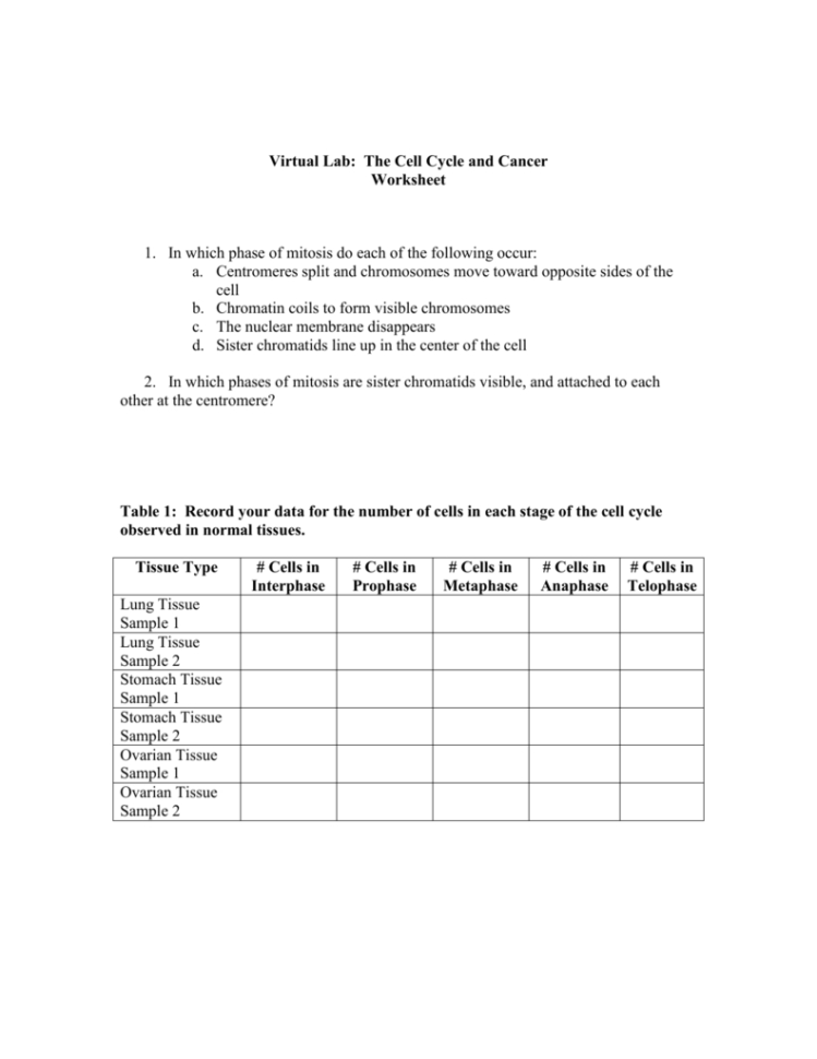 Virtual Lab The Cell Cycle And Cancer