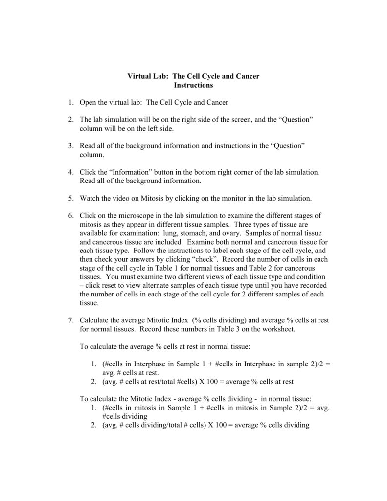 cell-cycle-and-cancer-worksheet-answers-db-excel