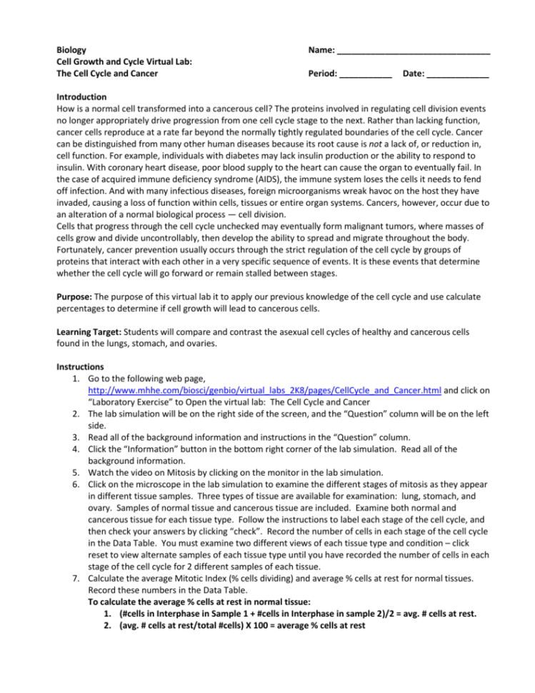 Virtual Lab The Cell Cycle And Cancer  Wilsonspage