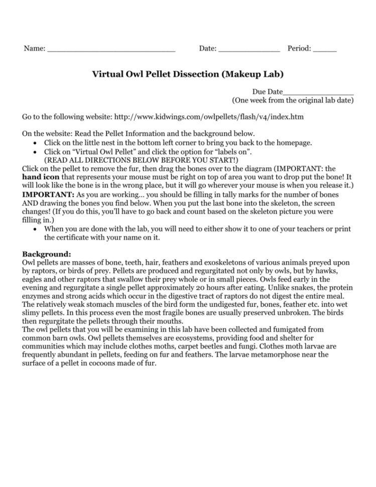 Virtual Owl Pellet Dissection Makeup Lab