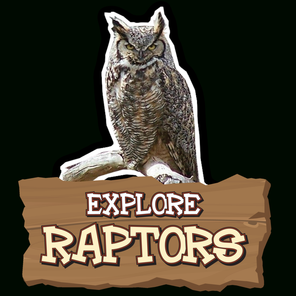 Virtual Owl Pellet Lab  Animal Science Education