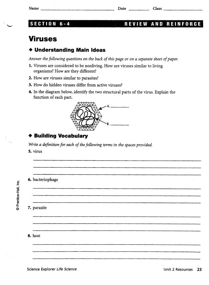 Virus And Bacteria Worksheet Acids And Bases Worksheet Reflection