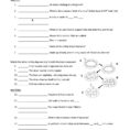 Virus Worksheet 1St Grade Worksheets Periodic Trends Worksheet