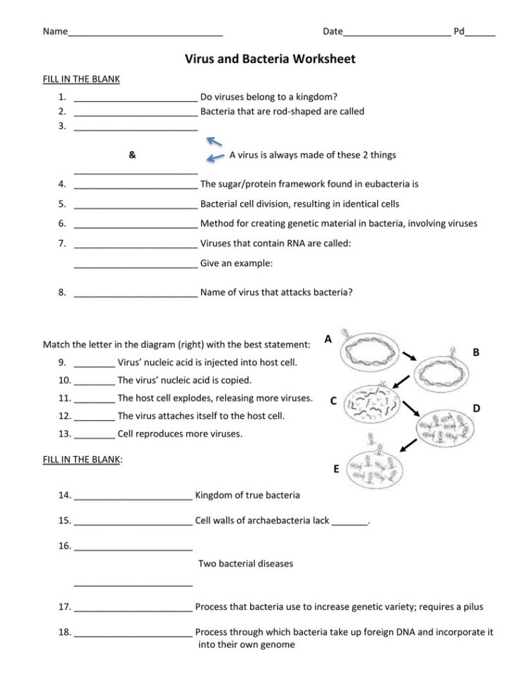 Virus Worksheet Math Worksheets For Grade 2 Naming Covalent