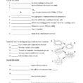 Virus Worksheet Math Worksheets For Grade 2 Naming Covalent