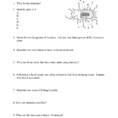 Viruses  Bacteria Worksheet