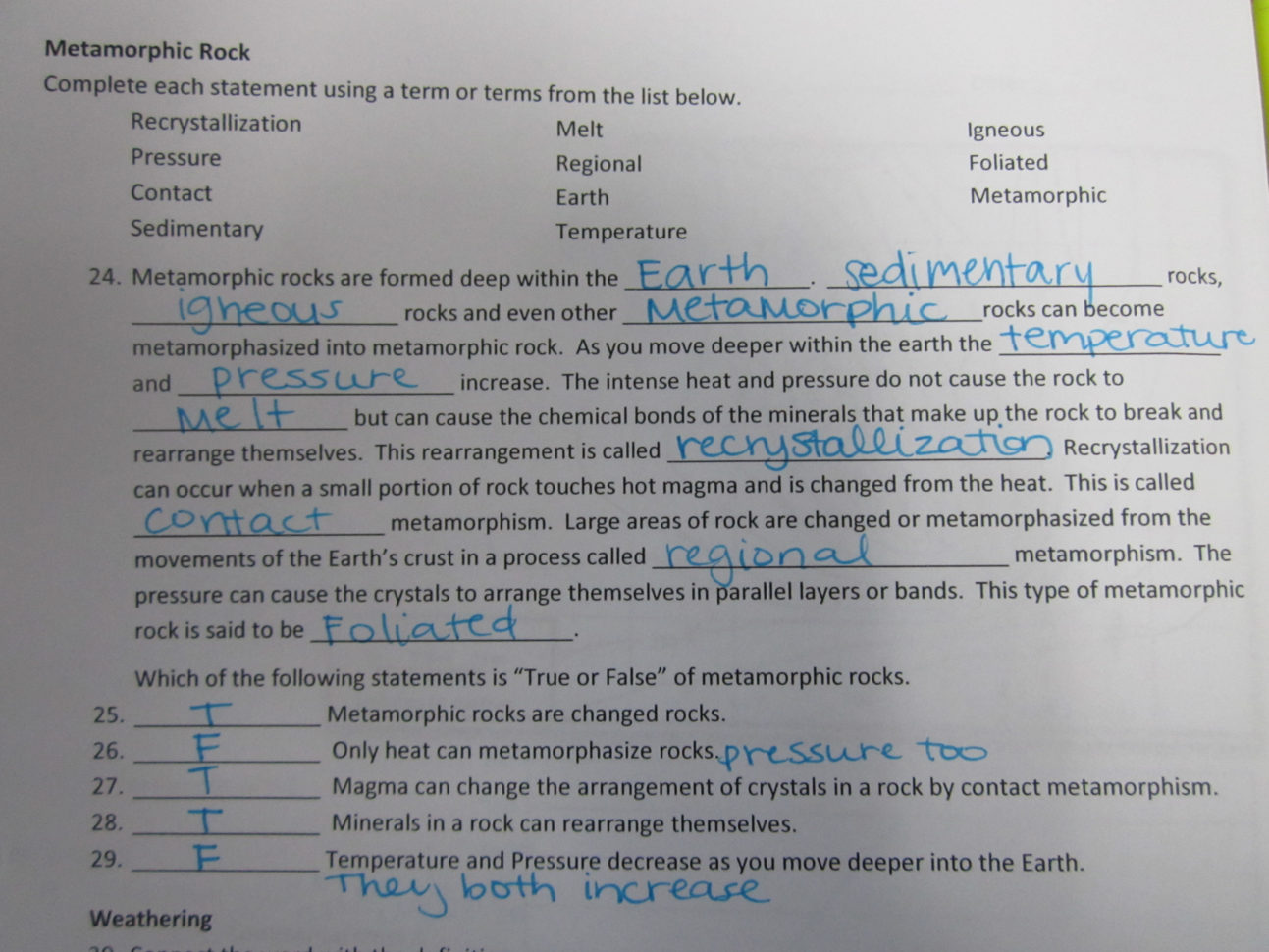 Viruses Homework And Study Guide Answers