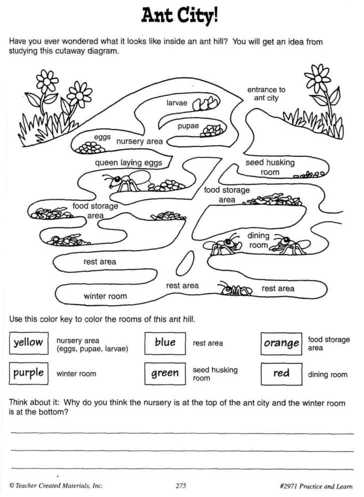 Social Interaction Worksheets