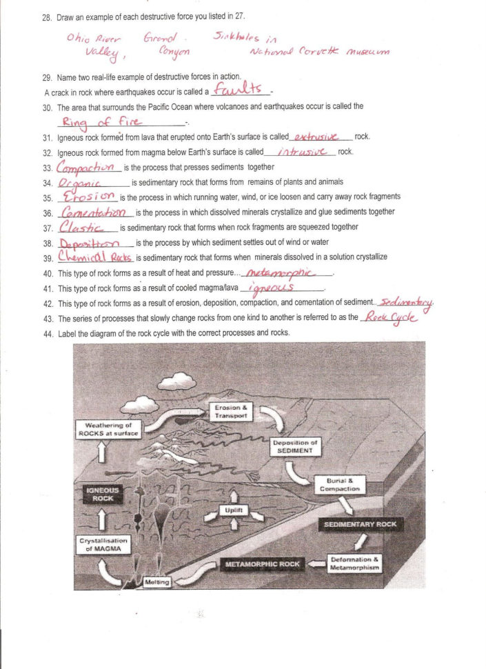 Vitamins Minerals And Ter Worksheet Answers