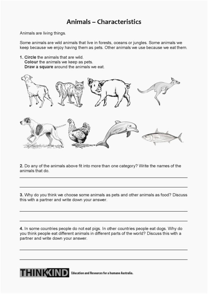 Vocabulario Activo 2 Fichas Con Ejercicios Fotocopiables Step