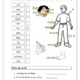 Vocabulary Matching Worksheet  Body Parts 1  English Esl Worksheets