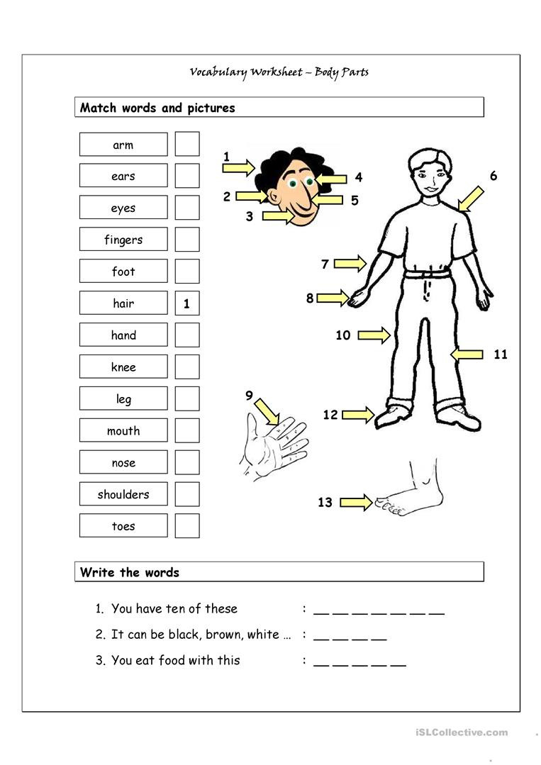 Vocabulary Matching Worksheet  Body Parts 1  English Esl Worksheets