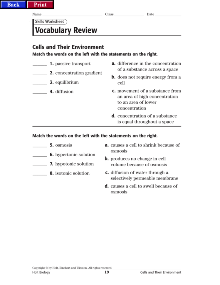 Vocabulary Review