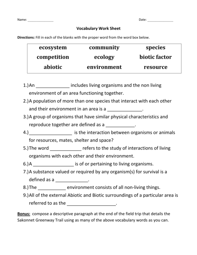 Vocabulary Worksheet