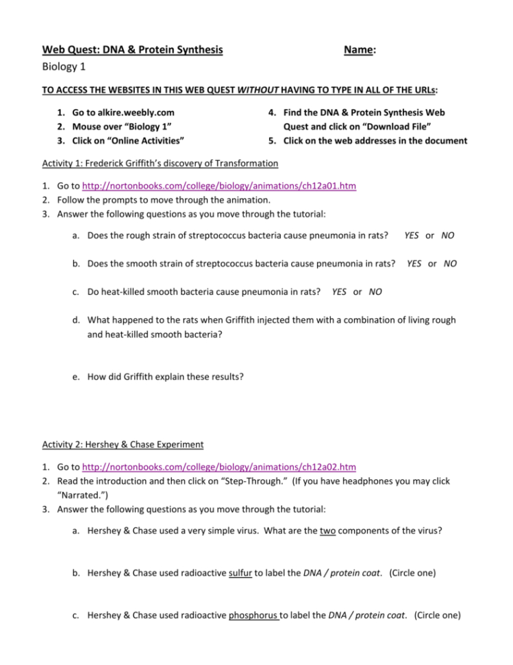 Web Quest Dna  Protein Synthesis Name Biology 1
