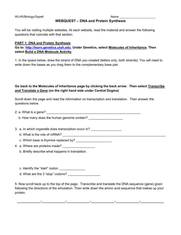Webquest – Dna And Protein Synthesis