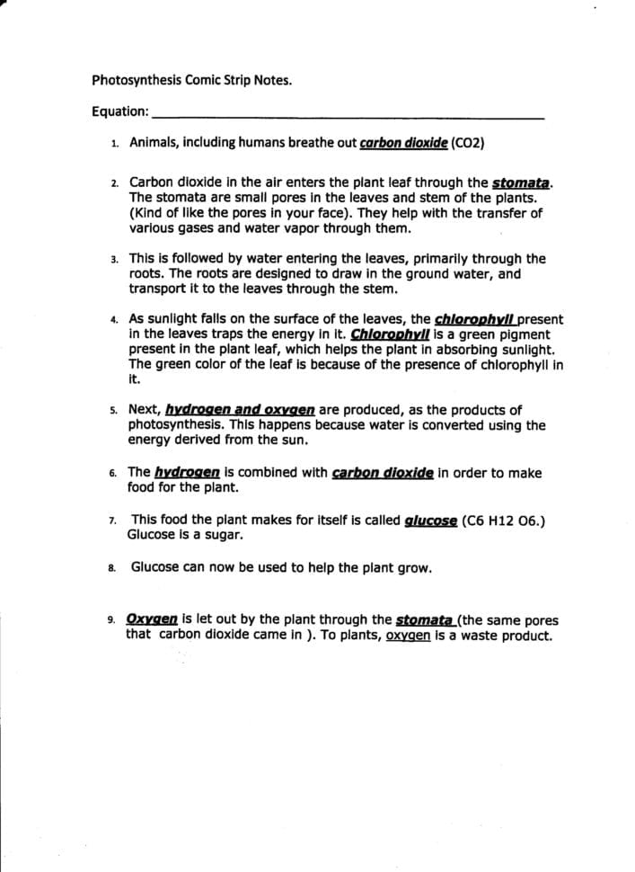 Week 16 Photosynthesis And Macromolecules  Mrborden's