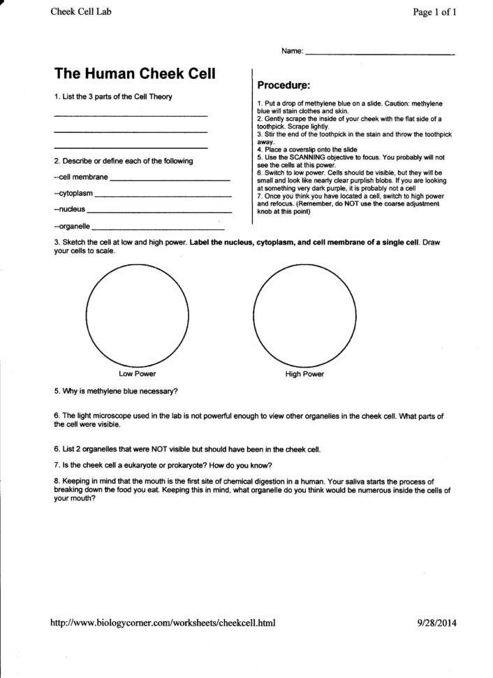 Week 7 Cell Lab And Cystic Fibrosis Case Study  Mrborden's Biology