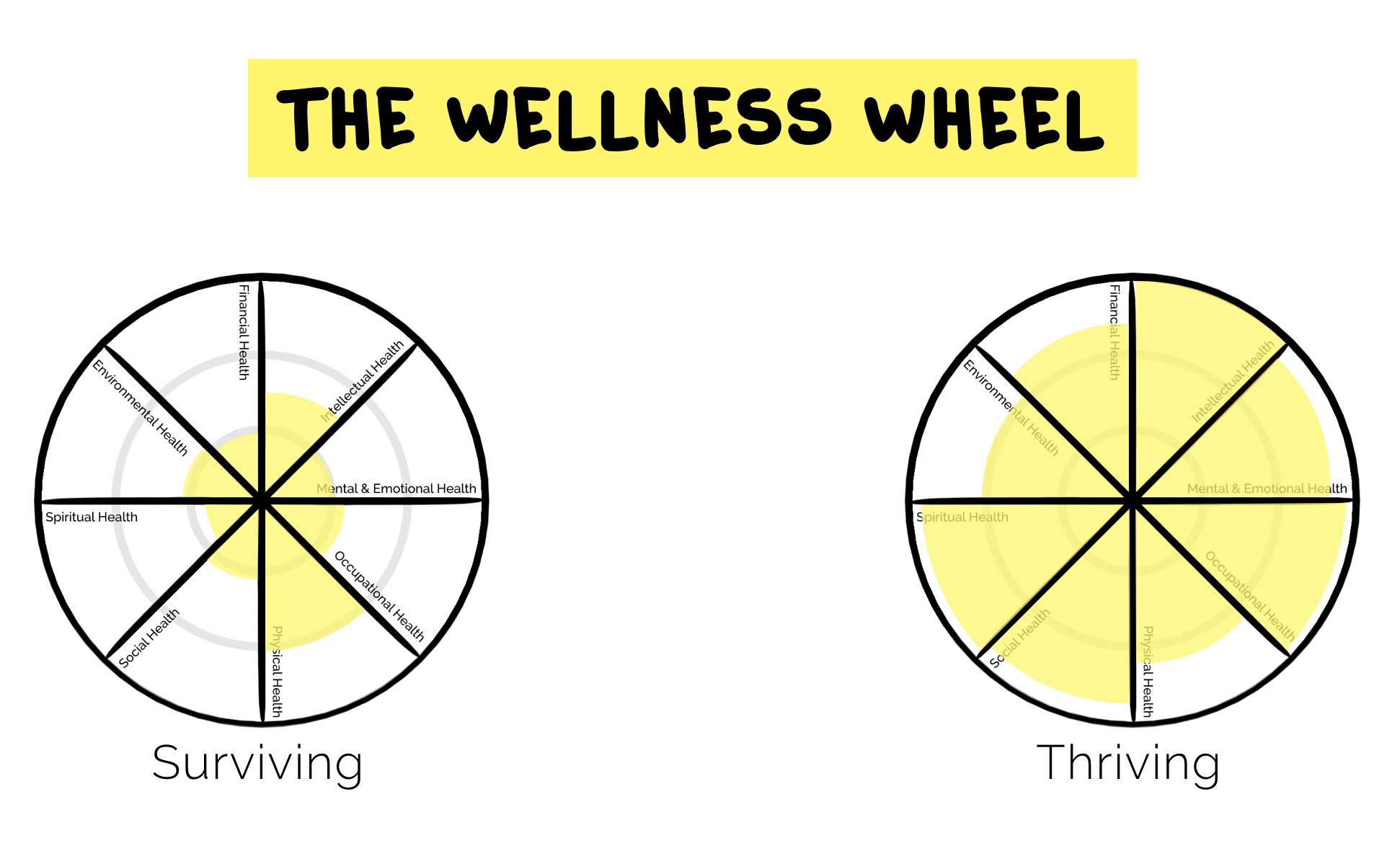 Wellness Basics The Wellness Wheel  Project School Wellness