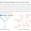 What A Newfound Kingdom Means For The Tree Of Life  Quanta