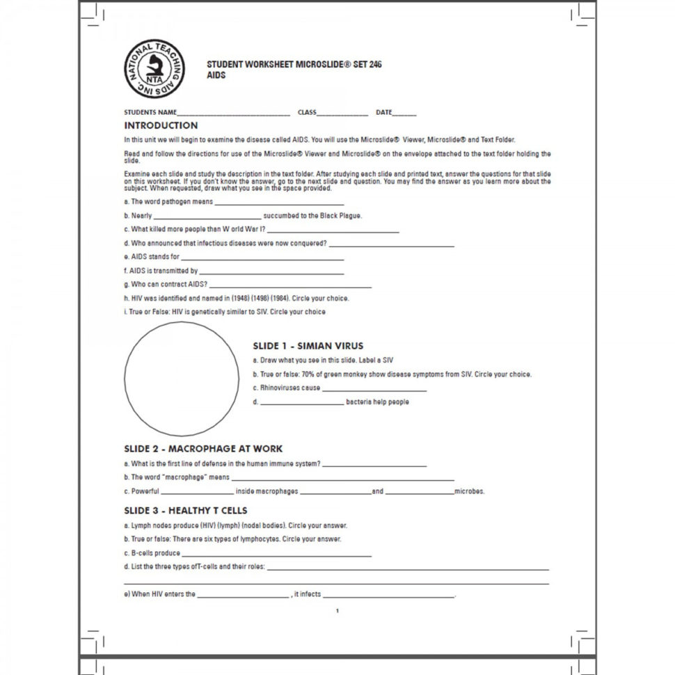 What Is Aids Worksheet  Stay At Hand