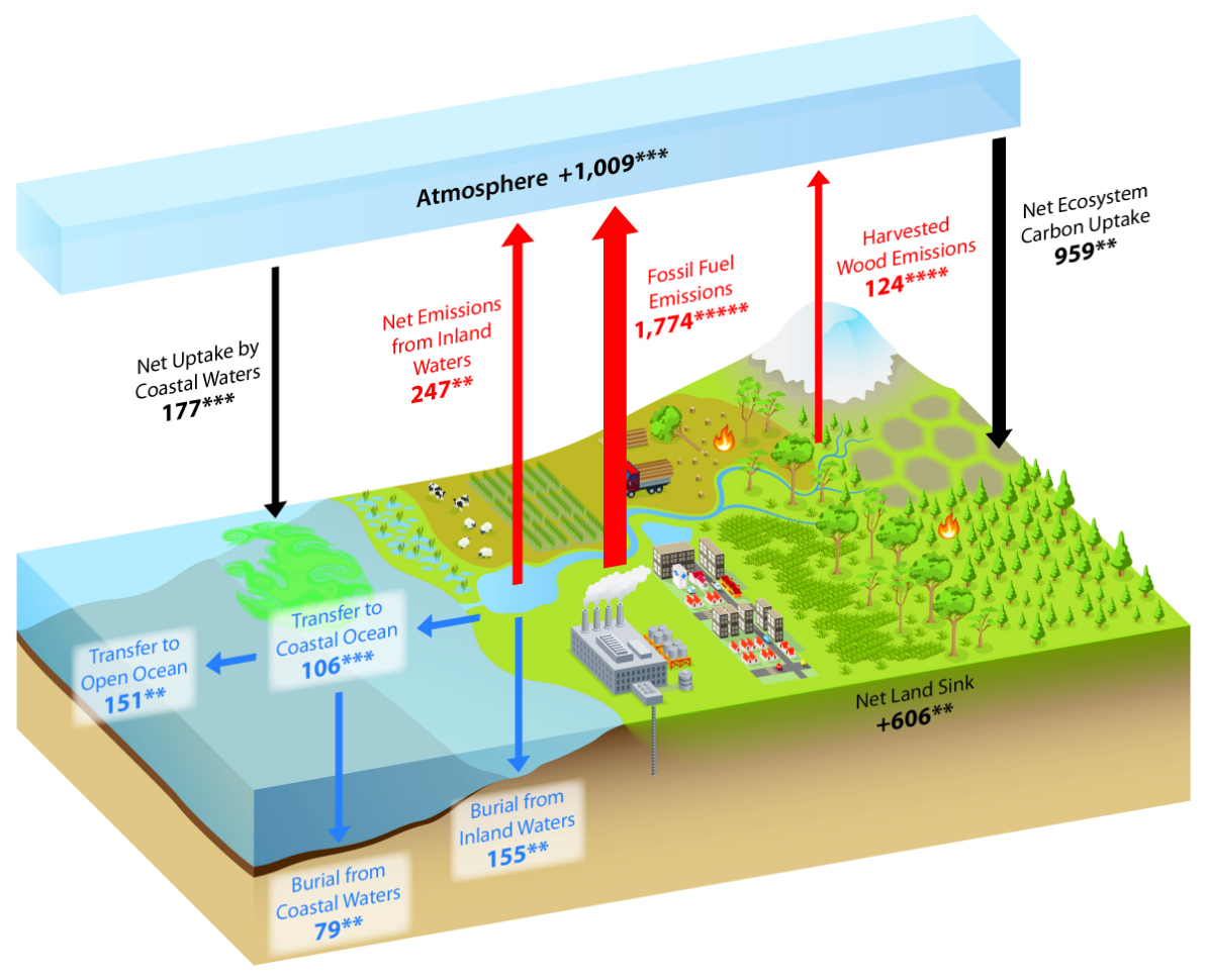 What Is The Carbon Cycle What Is The Science Behind It