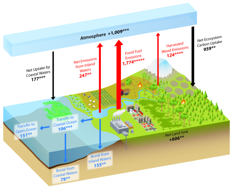 What Is The Carbon Cycle What Is The Science Behind It — db-excel.com