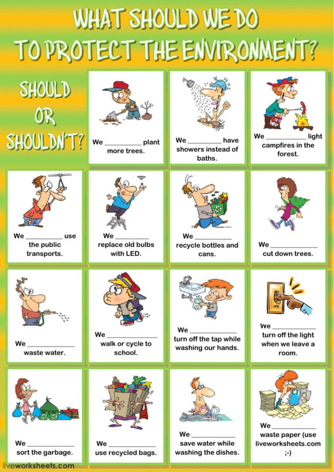 What Should We Do To Protect The Environment  Interactive