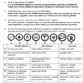 Whmis And Safety Worksheet  Answer Key  Worksafebc Pages 1