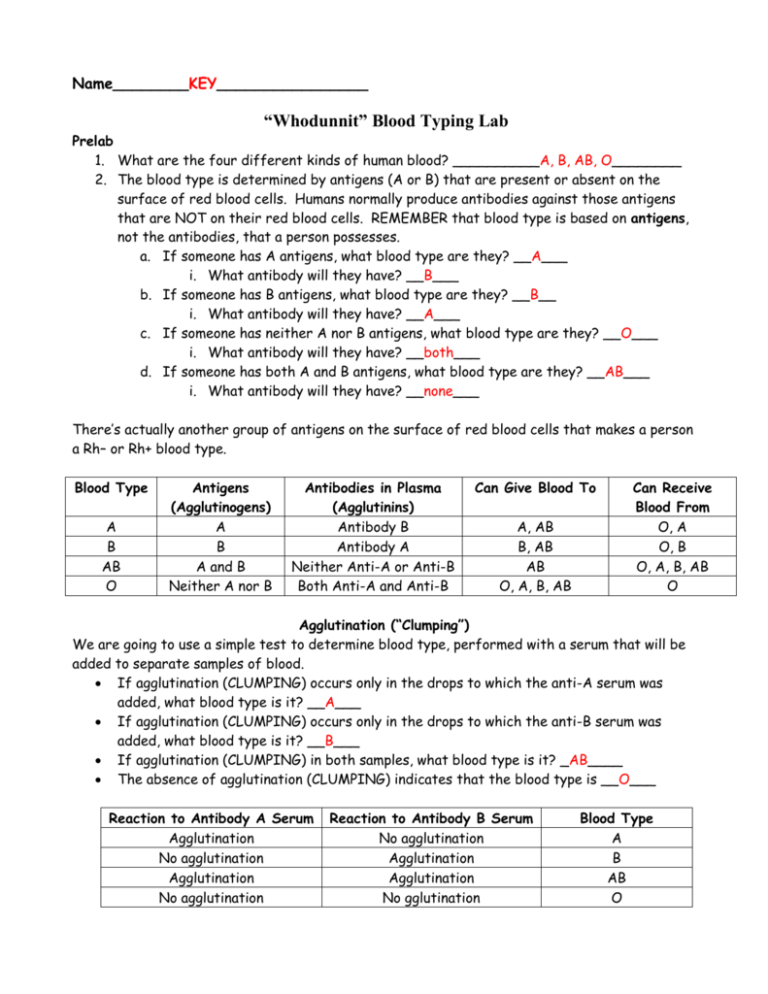 abo-rh-simulated-blood-typing-worksheet-answers-db-excel